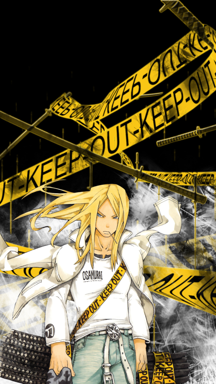 720x1280  Avenger (Gorgon) - Rider (судьба / пребывание ночи) - Zerochan Anime Image Board