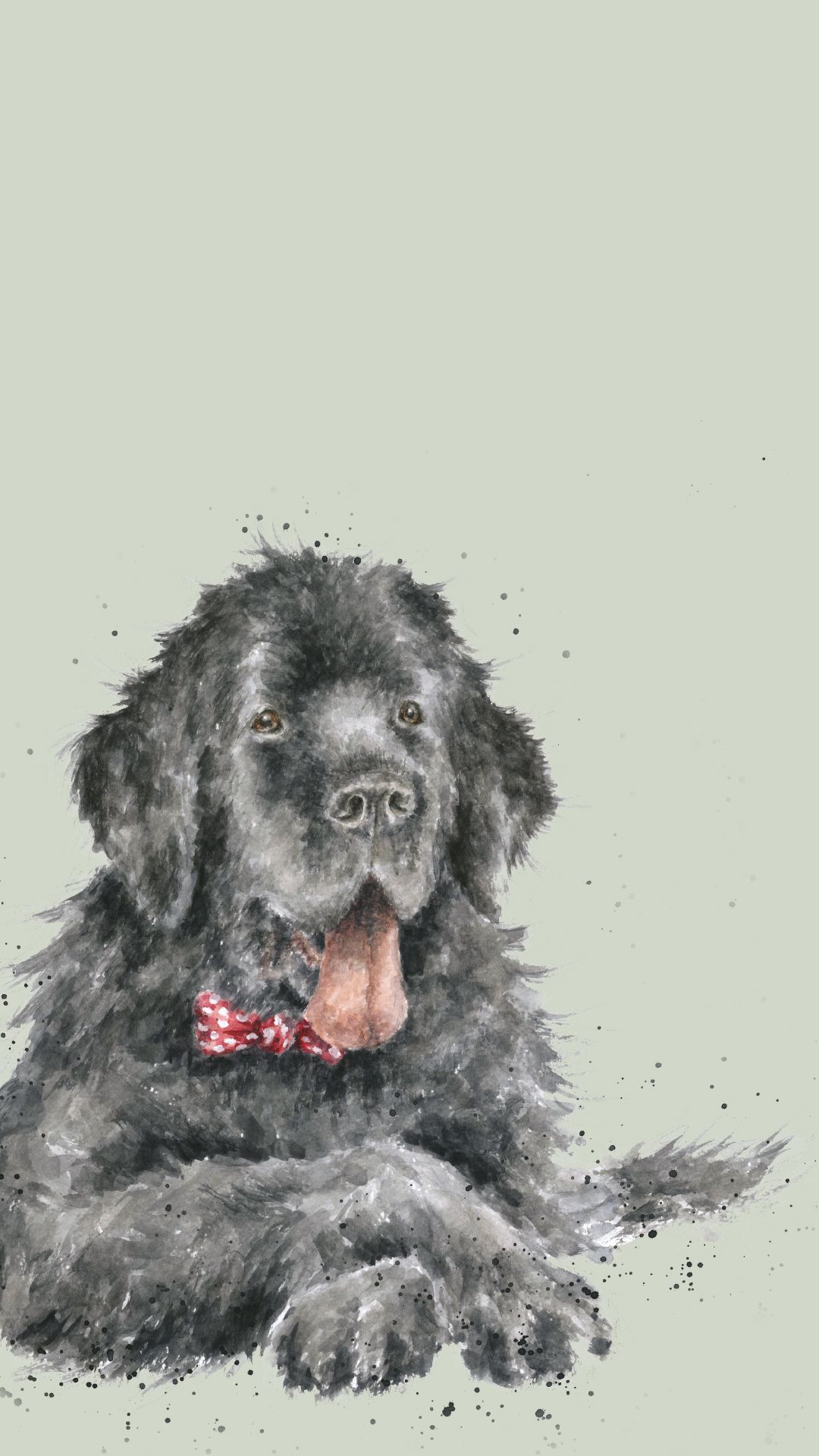 1080x1920  Newfoundland Телефон Обои | Телефонные обои |. Исследуйте 45+ Рождественские животные Обои | Смешные обои домашних животных, 1920x1080 домашних обои, домашнее животное, домашнее животное, домашнее животное для компьютера 1920x1080 