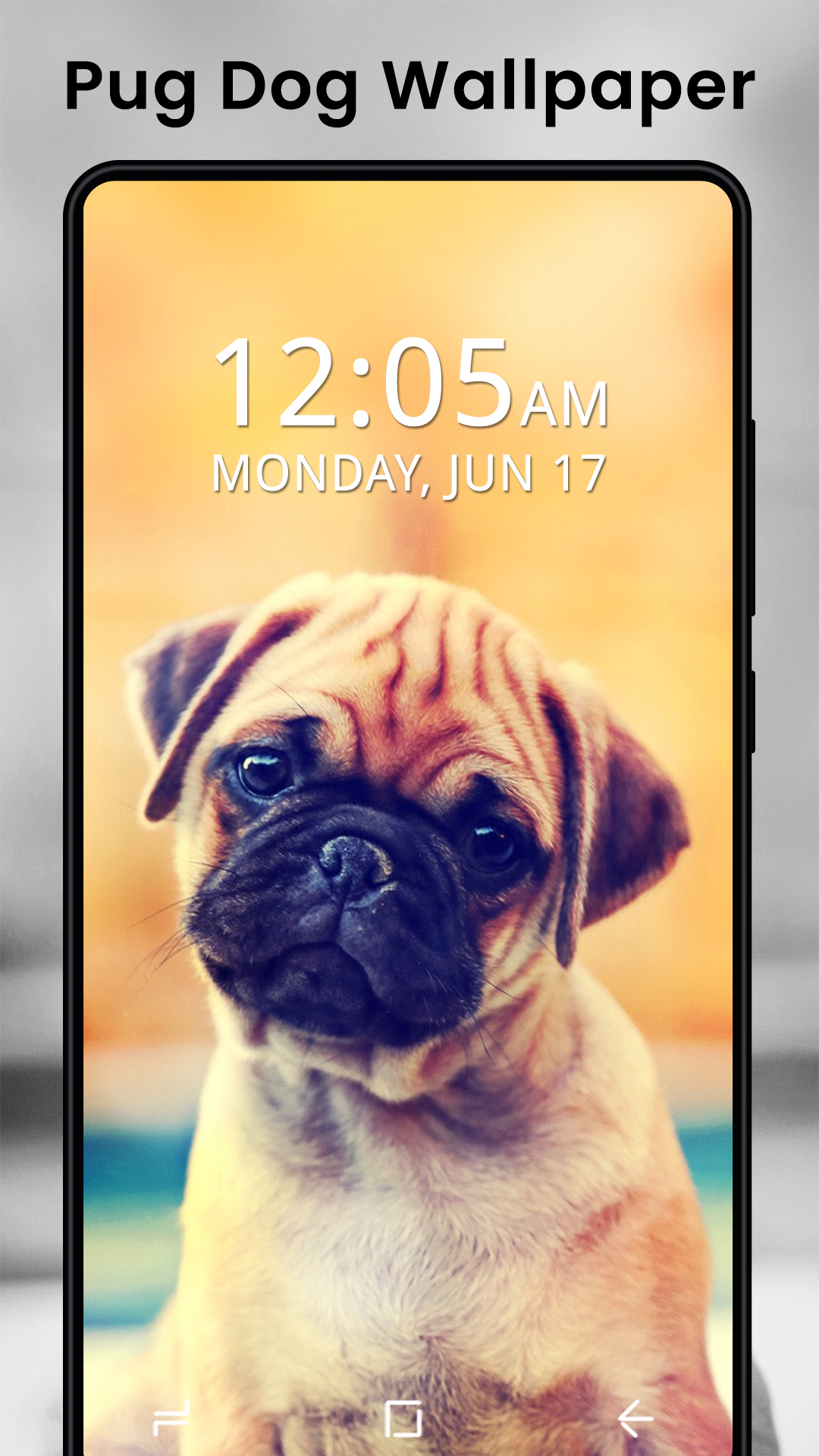 1080x1920  19 Новые собаки идеи |. Собаки, Newfoundland Dog, милые животные