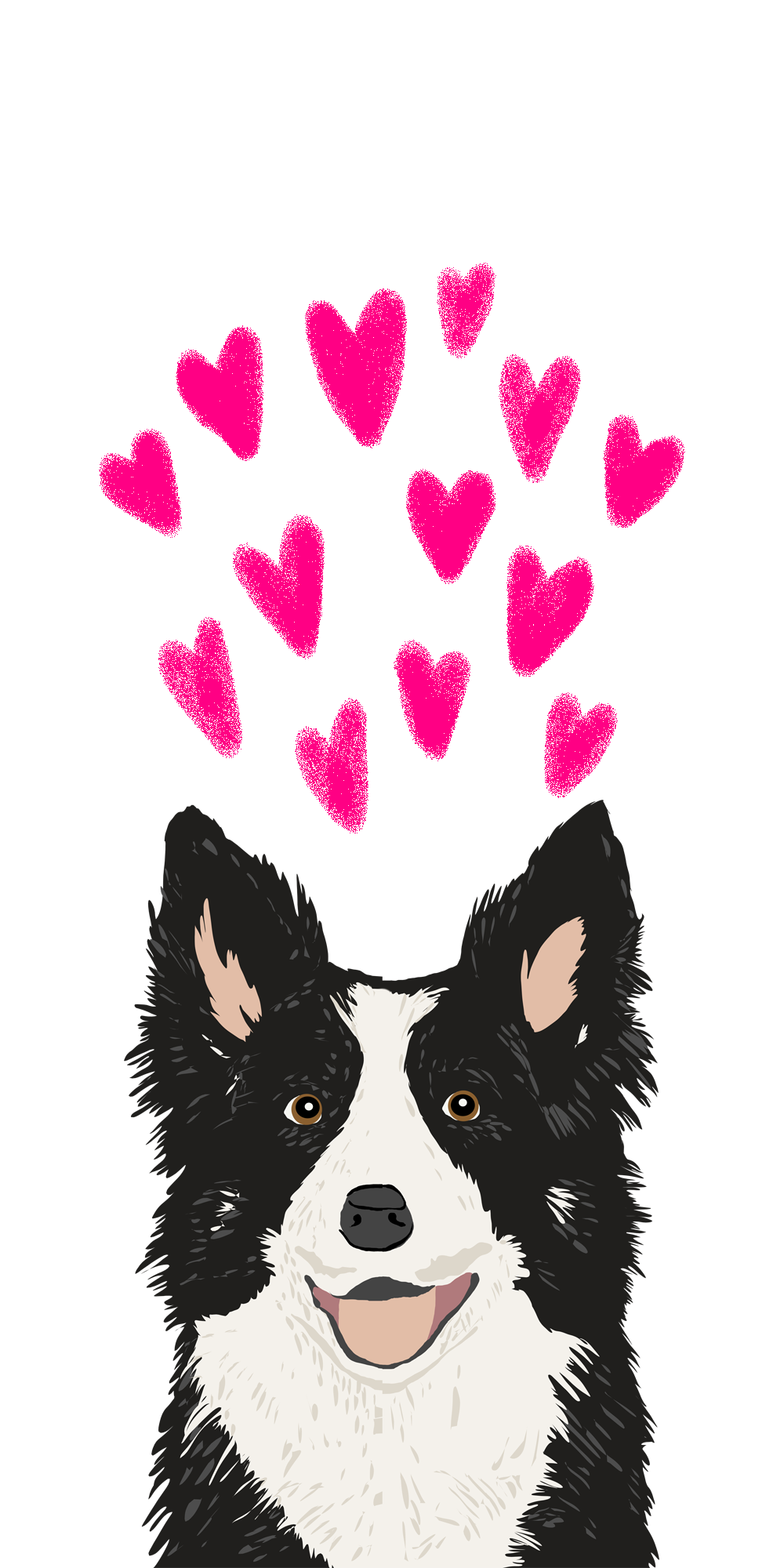 1000x2000  border Collies обои - обои Cave