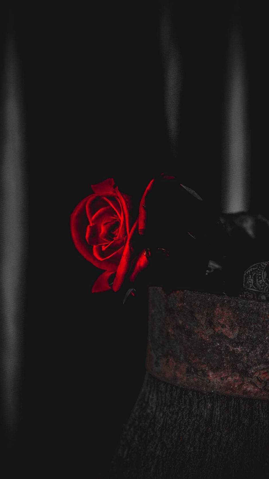 938x1668  Black Rose Wallpaper - Enjpg