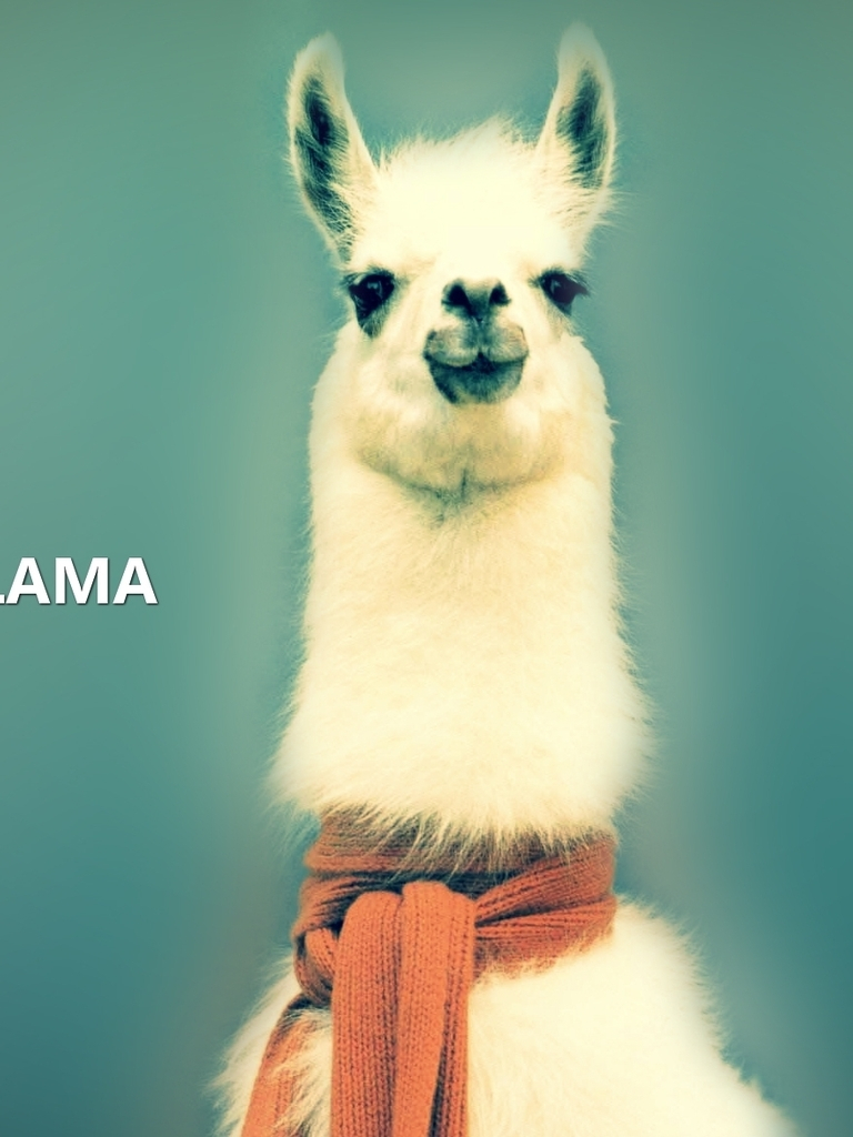 768x1024   LLAMA iPhone Wallpapers бесплатно download