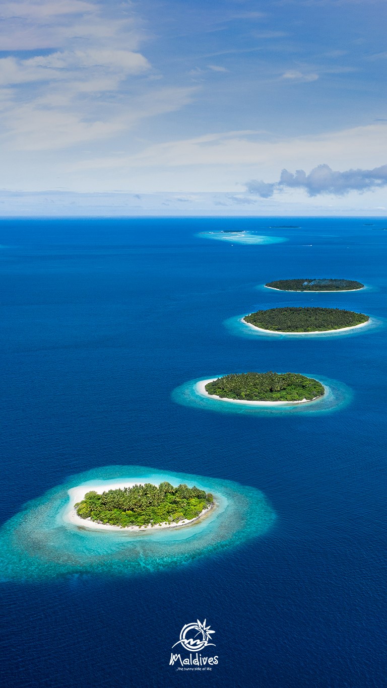 768x1366 ? Ocean Fish Maldives Islands Palmes Esumcapes Сплит-вид Обои | (1305) 