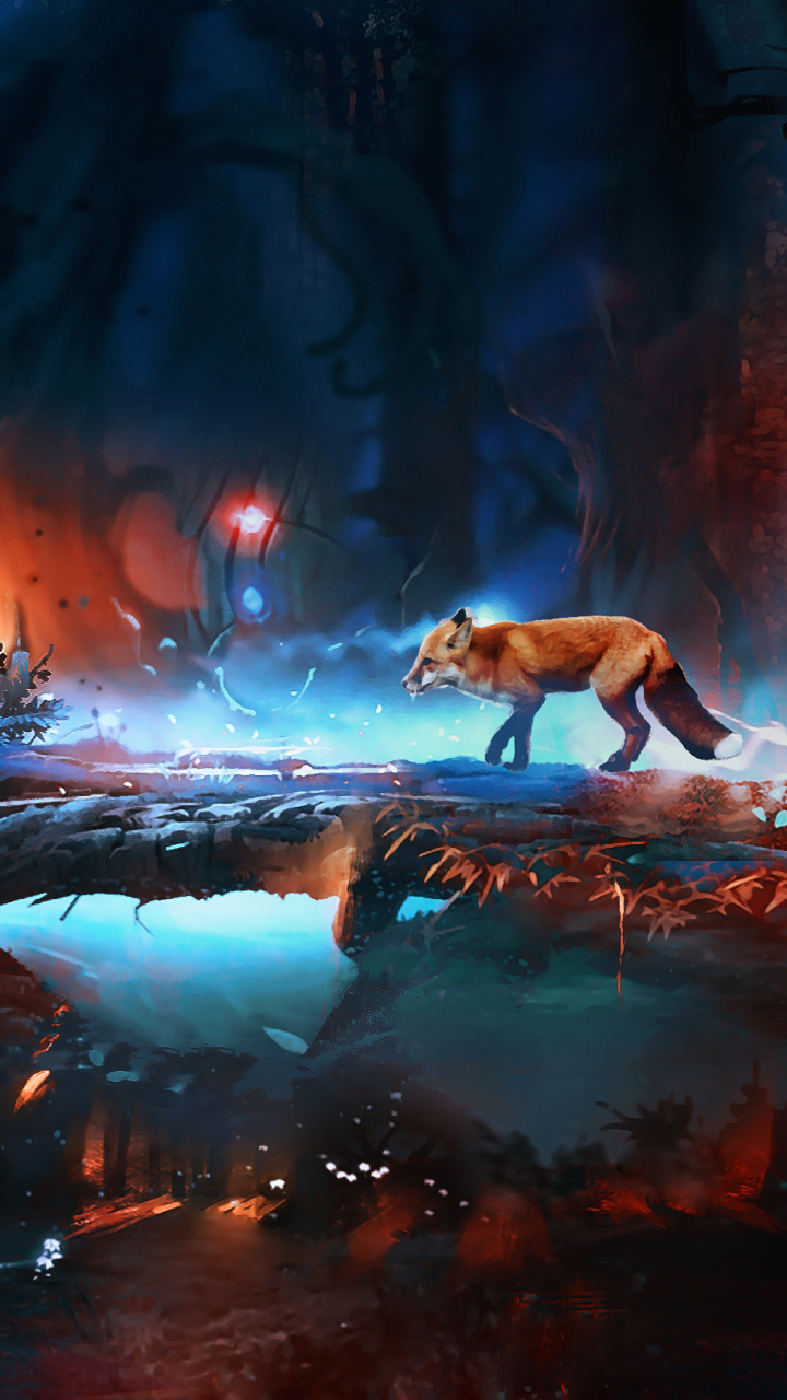 720x1280  cute Fox Phone Wallpapers - Wallows Cave 