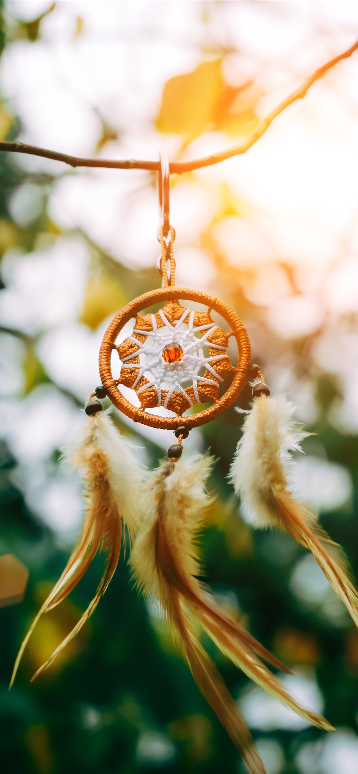 1242x2688   Инь Ян, амулет, черный, отрицательный, положительный, череп, белый, ян, Инь, Йиньян, HD Mobile обои |. Peakpx