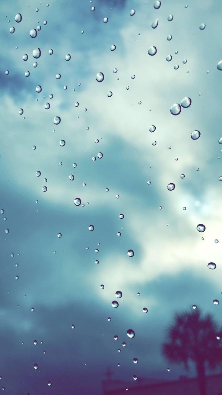 736x1308  effeckence Feng Shui Tips для Wealth