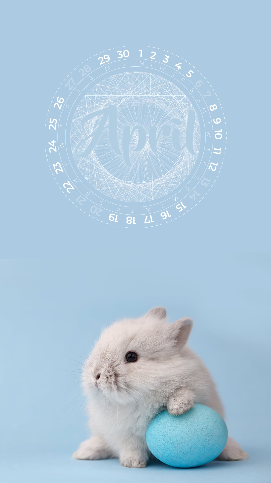 1080x1920  Hamster Wallpaper - IXPAP