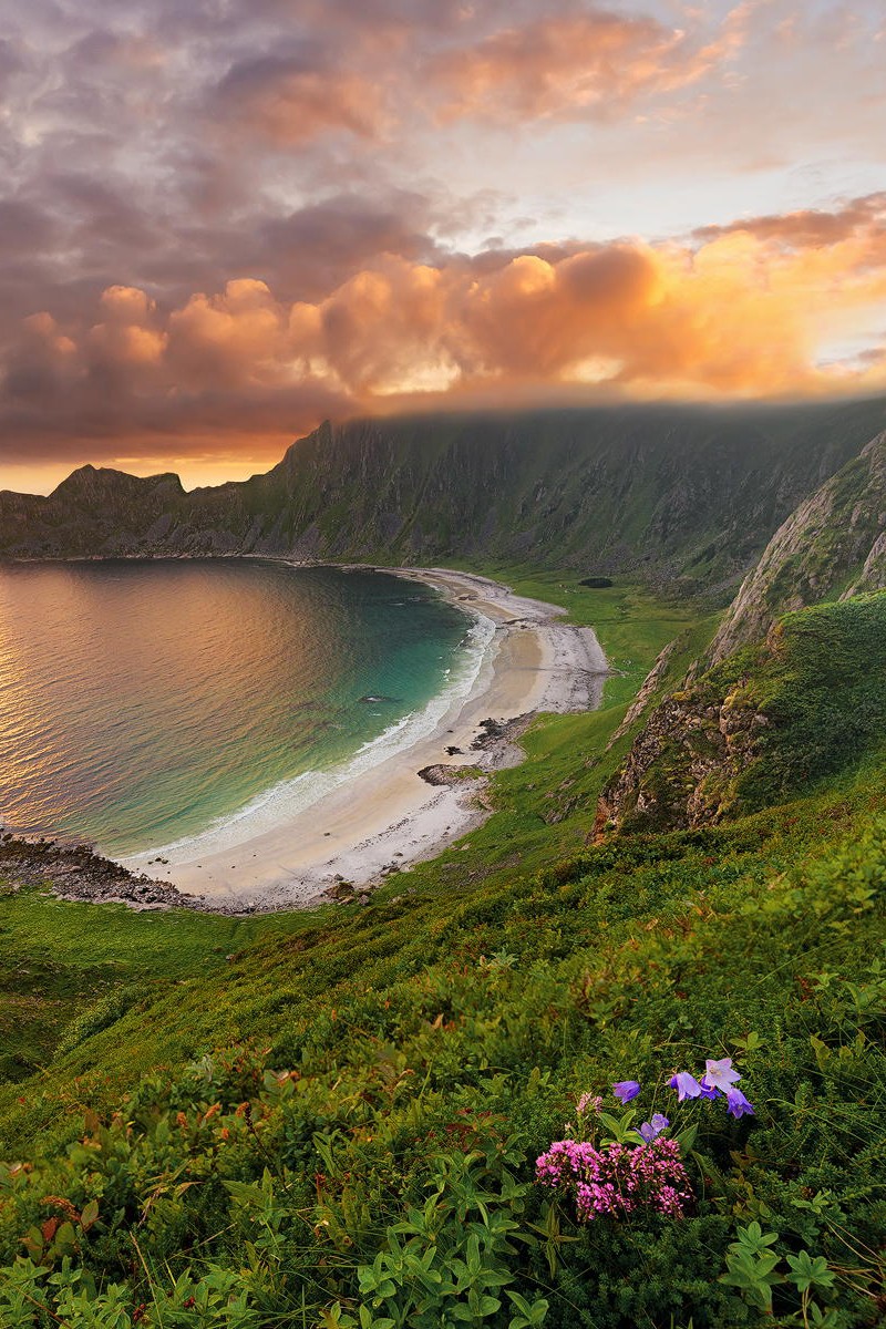 800x1200   Норвегия Обои на WallpaperDog