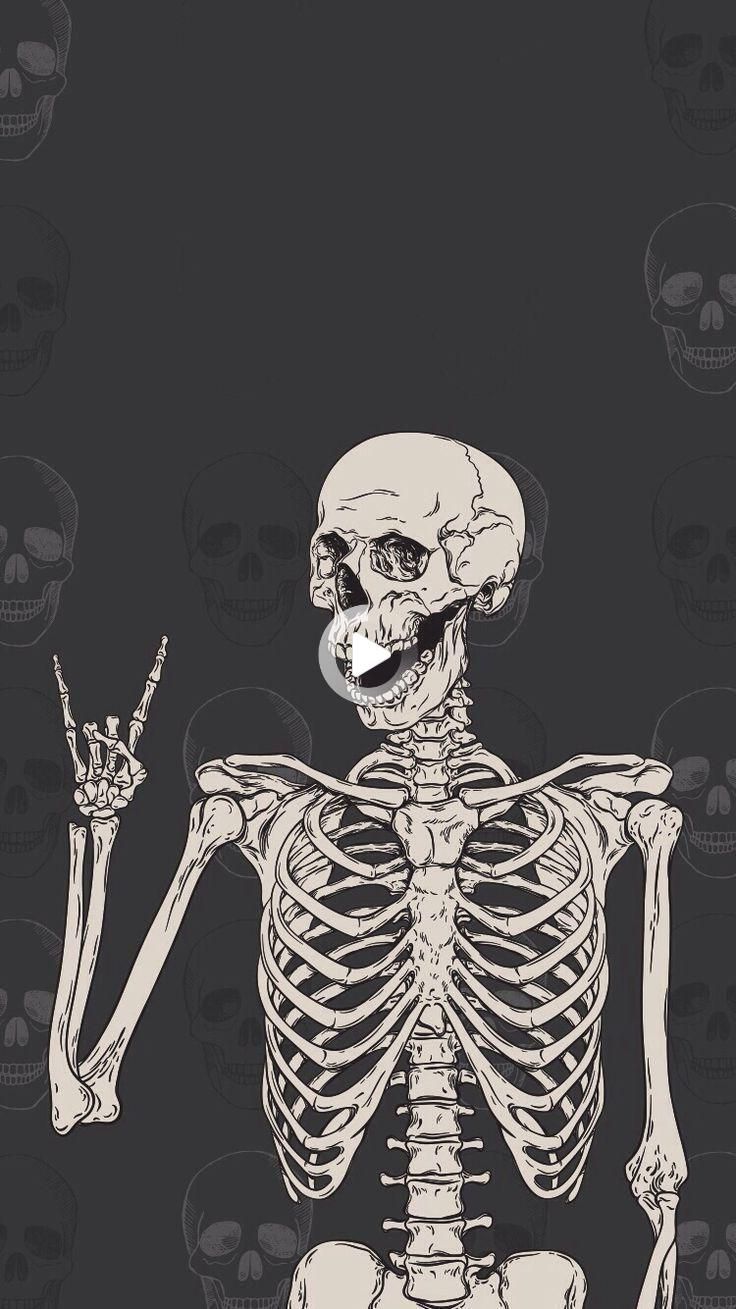 736x1309 _skull Телефон Обои - Верхний бесплатный Череп Телефон - WallpaperAccess