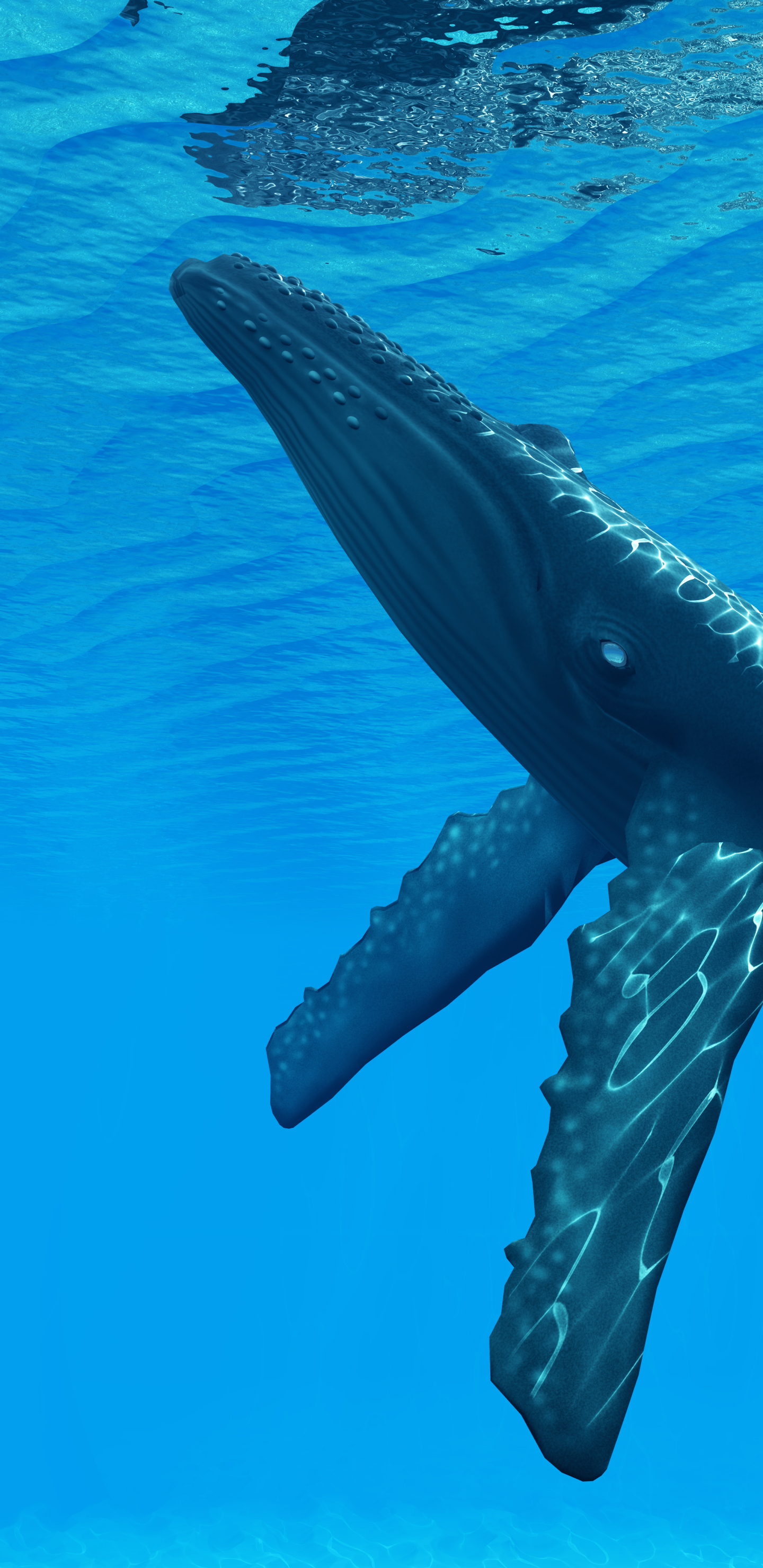 1440x2960 _NANIMAM WHALE - MOBILE ABYSS