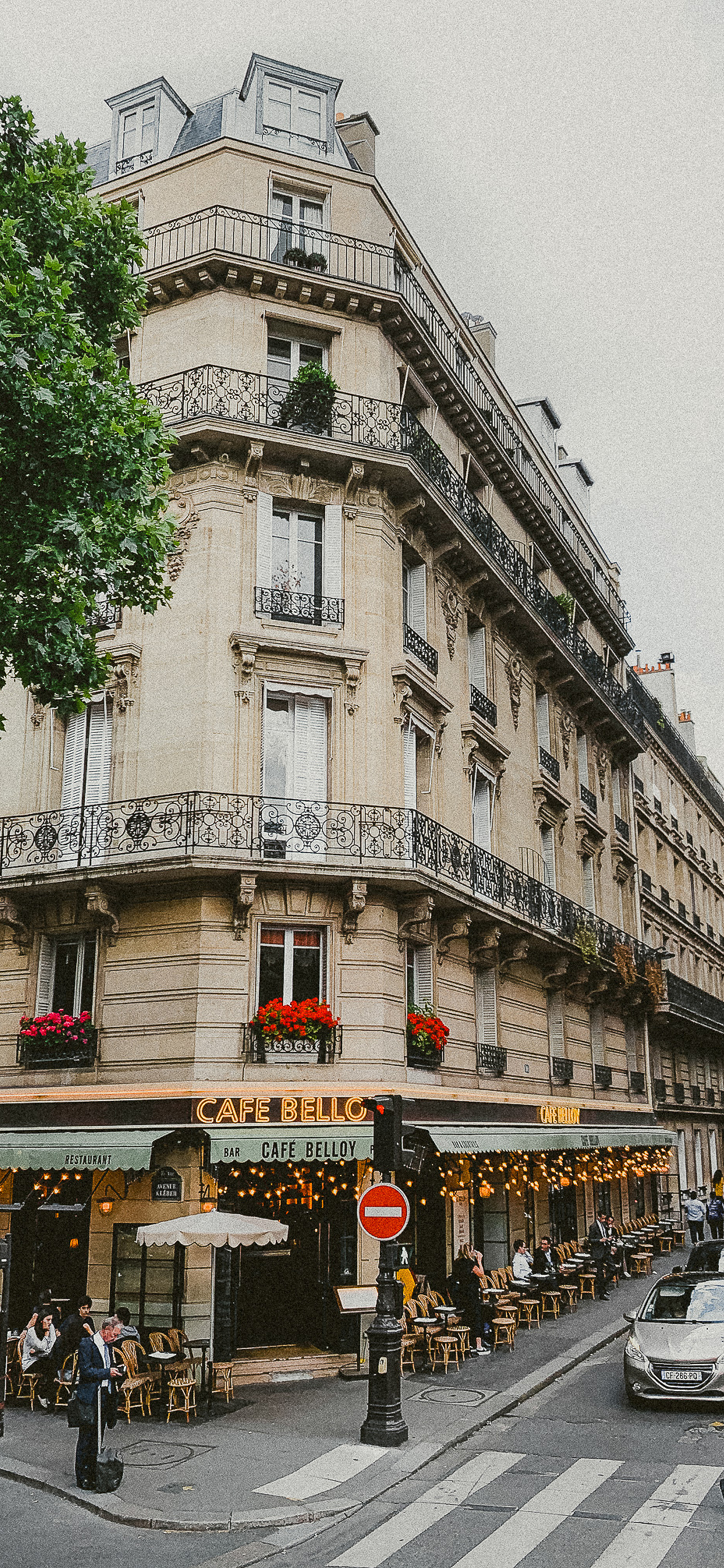 1242x2688  IPHONE 7 Обои: бесплатно HD Скачать [500+ HQ] | Unsplash