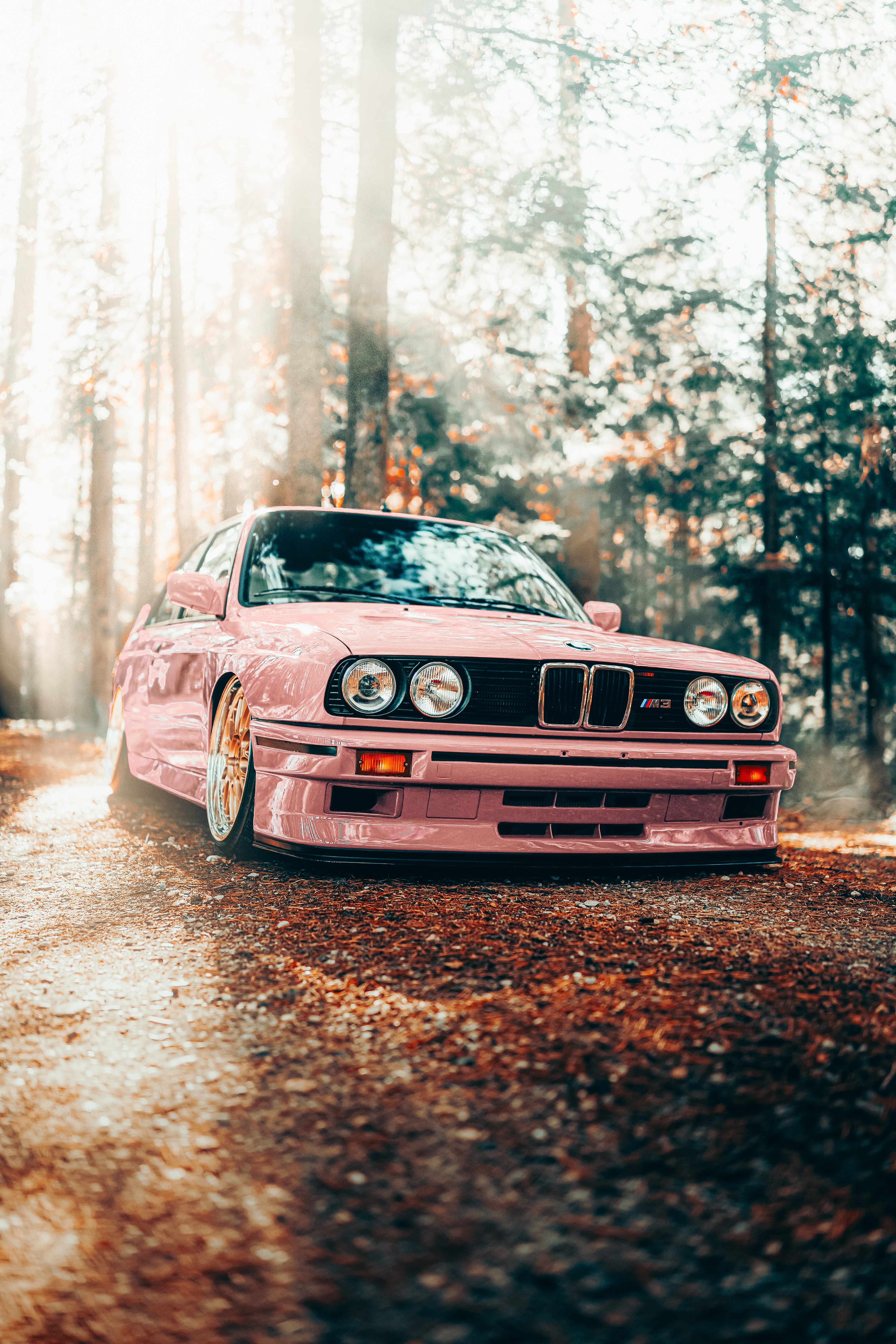 4000x6000  BMW E30 M3 Телефон Forzahorizon iPhone Обои для обоев IPhone Скачать бесплатно 