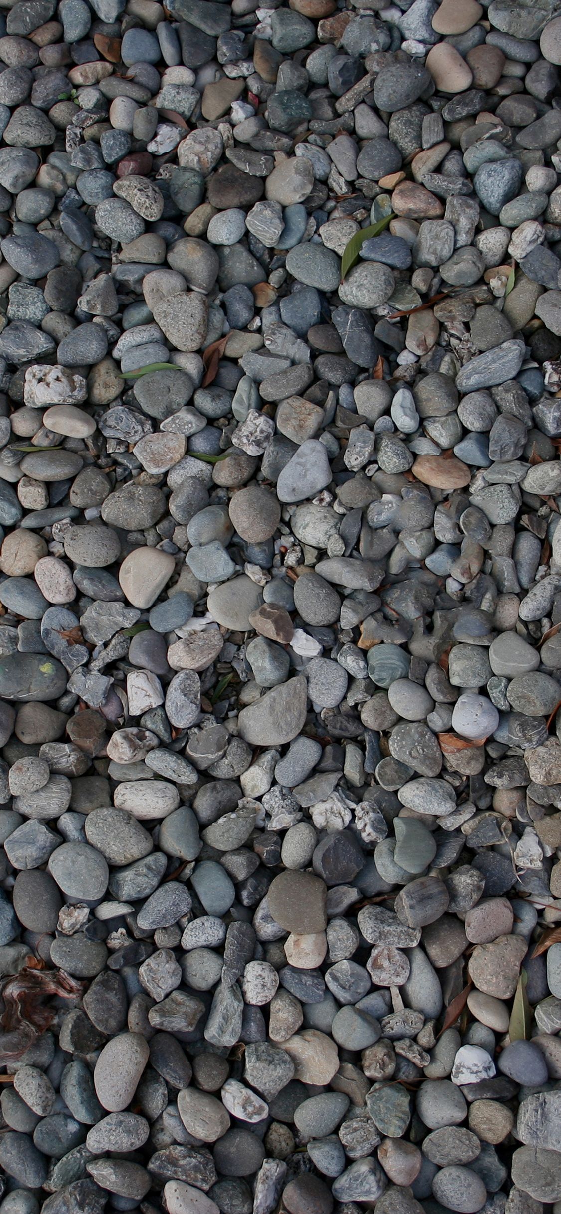 1125x2436  dr - Koogpapher - Awesome Free HD Wallpapers