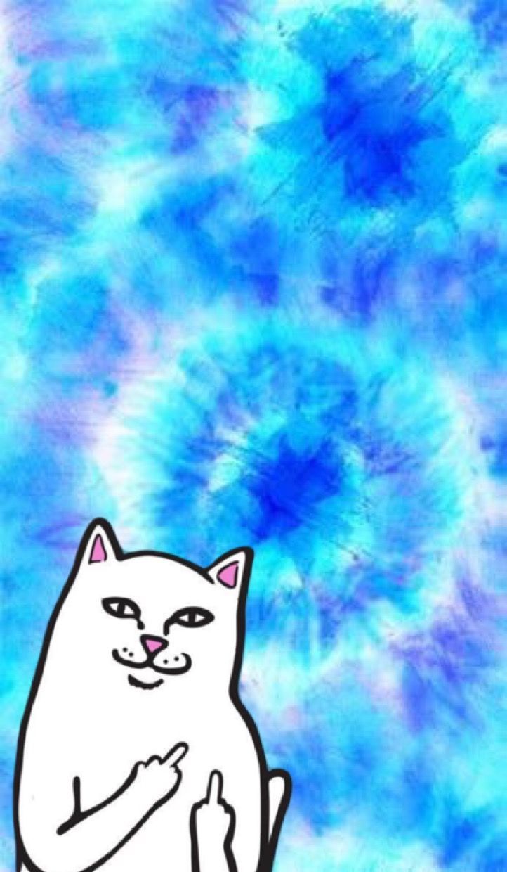 722x1240  32 Ripndip | Ripndip Wallpaper, iPhone Wallpaper, Cat Wallpaper