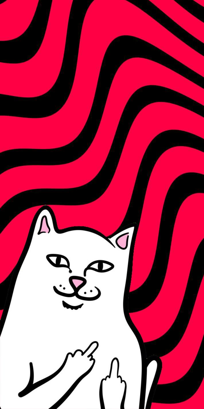 711x1425  RIPNDIP Обои PEDRO1209271926 - 6B27 - бесплатно на Zegy ™ 