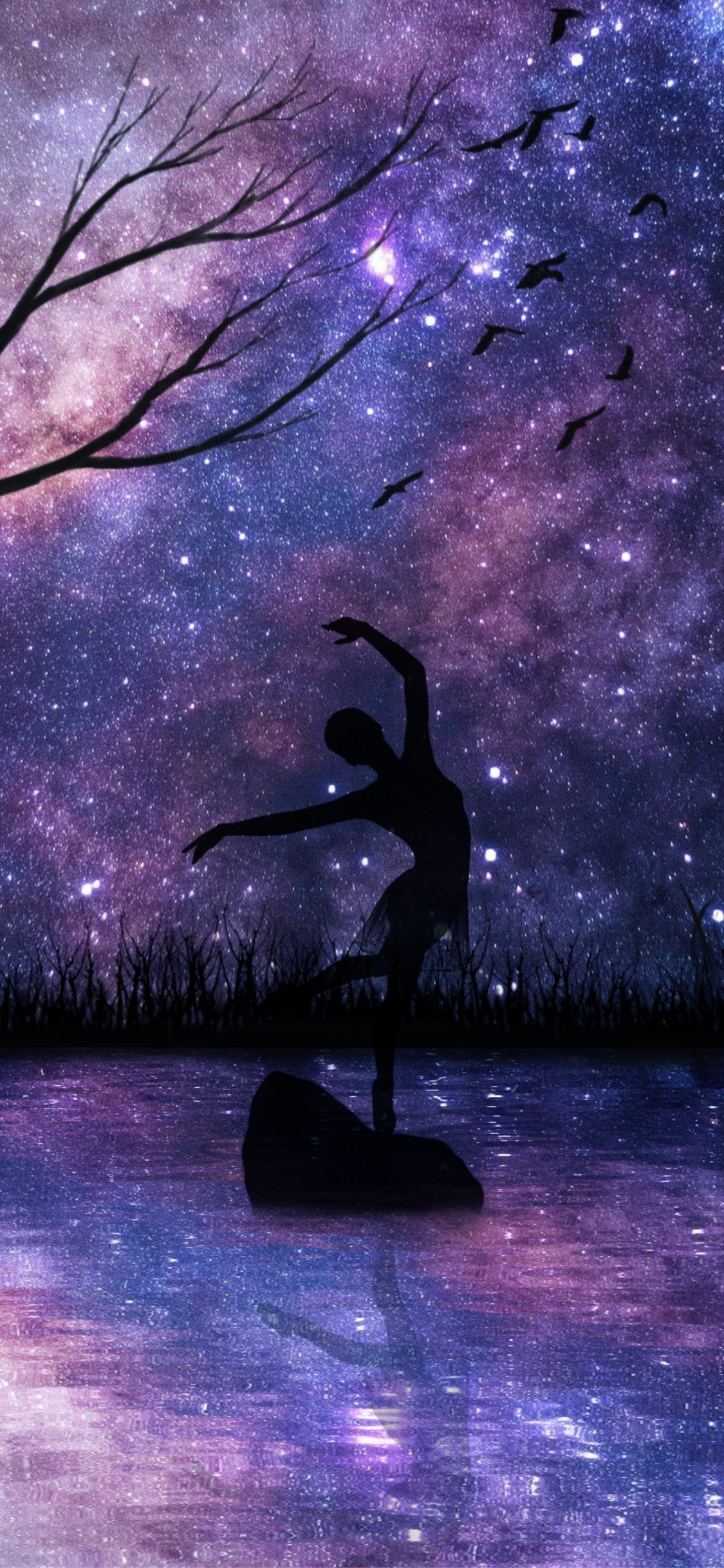 1125x2436  _ballerina wallpapers - лучшие бесплатные балерина фон - wallpaperacccess