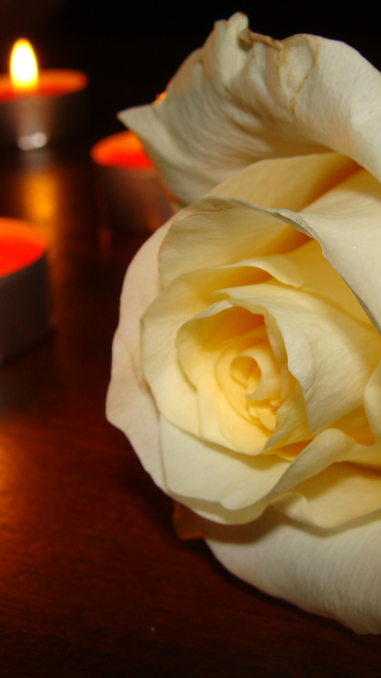 750x1334   ЗАСТОВКИ | Фк Локомотерив 