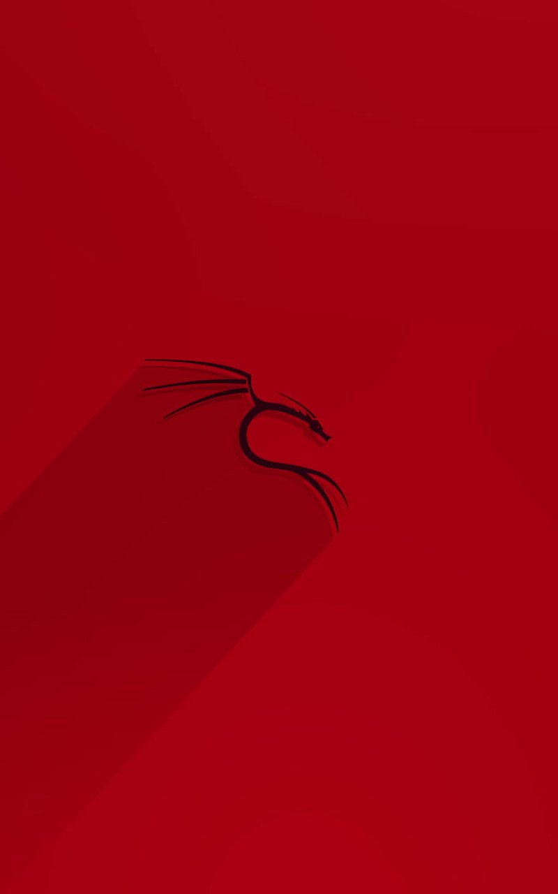 800x1280  kali Linux Wallpaper HD - обои для технических обоев HD - обои для технических обоев - Wallpapers
