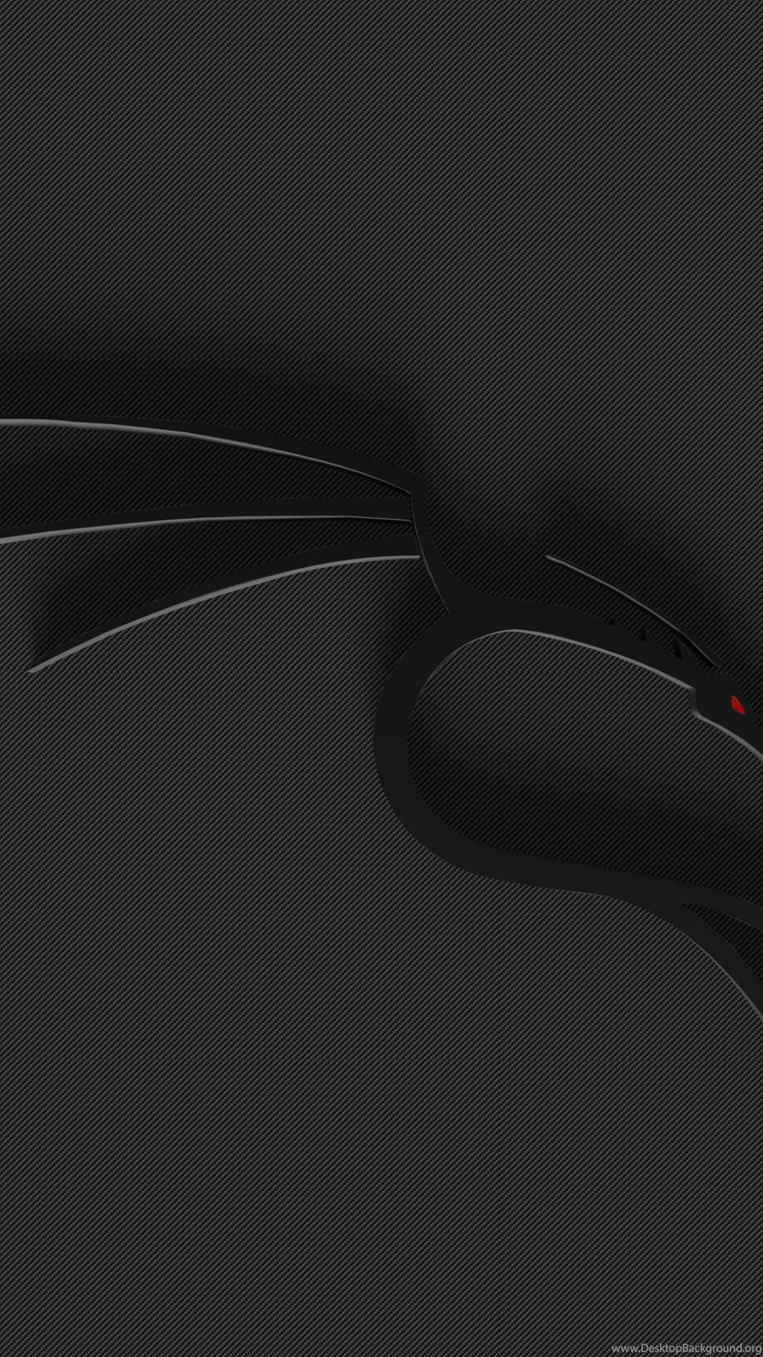 1080x1920  wallpaper Kali Linux для смартфона: Kali Linux обои Обои для технических обоев 