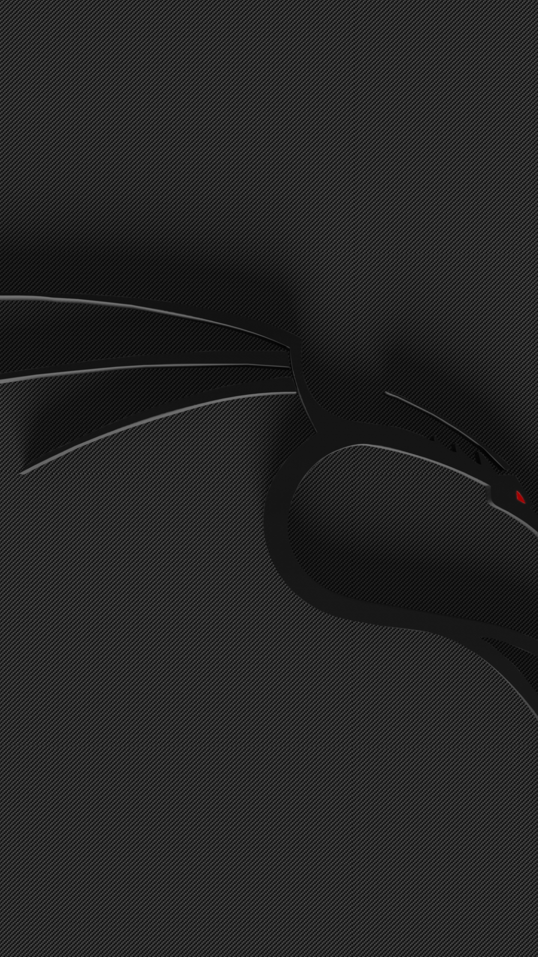 1080x1920   Обои Kali Linux для смартфона: Get Kali Linux Wallpaper Картинки Android: также вы можете поделиться или загружать свои любимые обои на рабочий стол. - Syarwaninalzuhriiri 