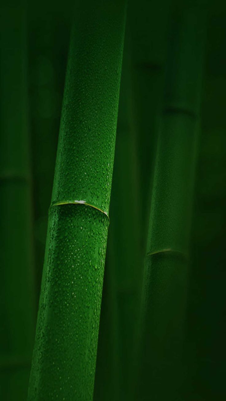 736x1307  miui iPhone 5 Обои | Настенные бумажные телефон, космические обои для телефона, Xperia обои 