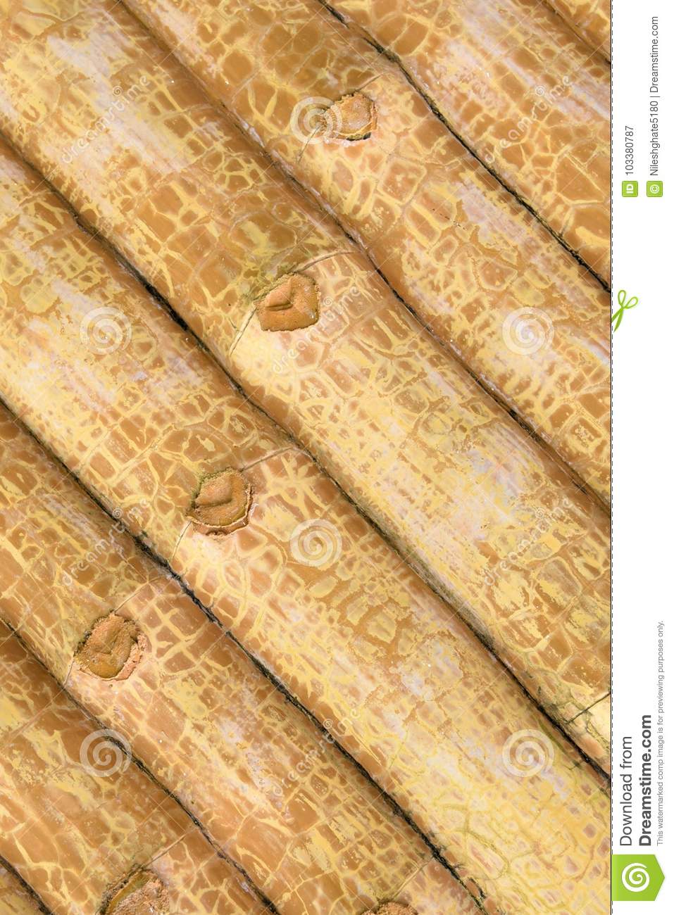 957x1300  bamboo Обои для iPhone на WallpaperDog