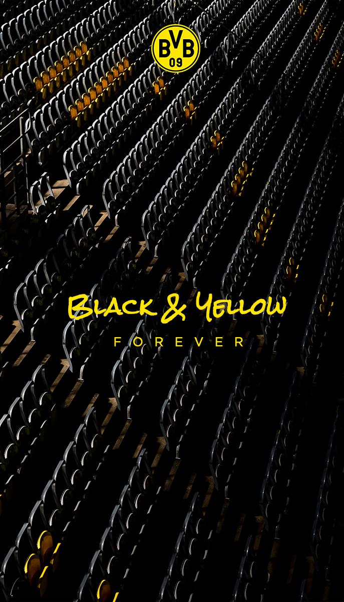 687x1200  borussia Dortmund iPhone Обои - Вершина бесплатная Боруссия Дортмунд IPhone Фон - WallpaperAccess