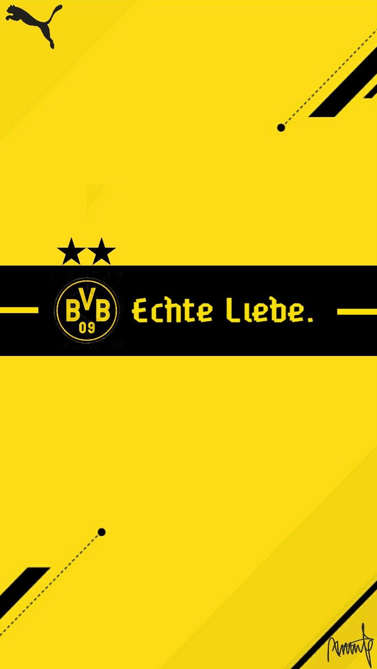 738x1310  borussia dortmund Обои 675x1200 Обои - Teahub.io 