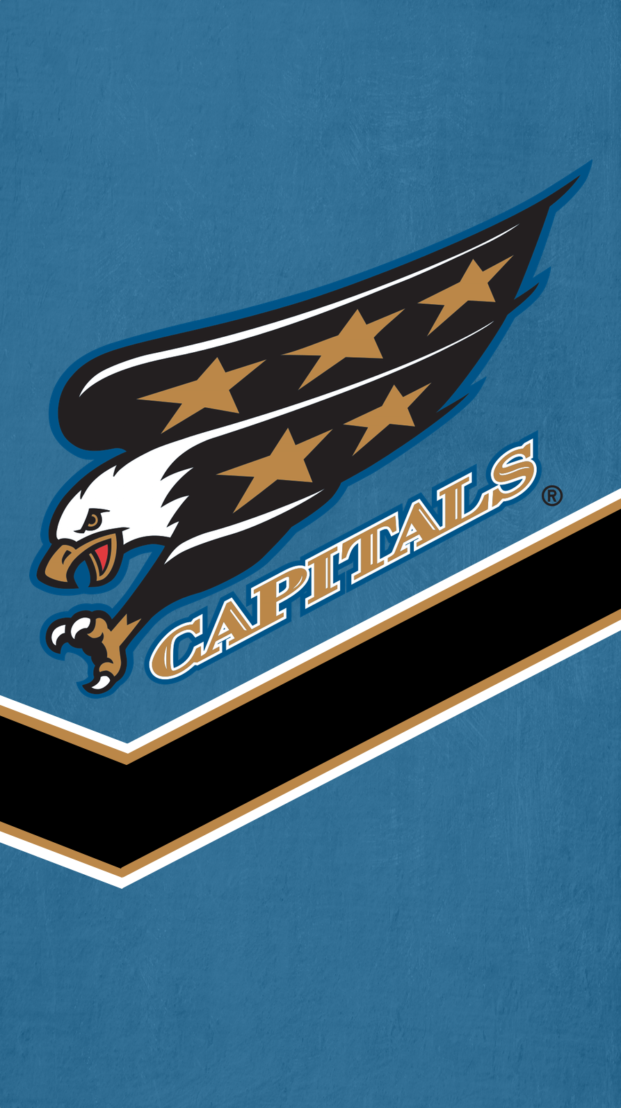 893x1592 Washington Capitals Eagle Logo - 893x1592 Обои - teahub.io 