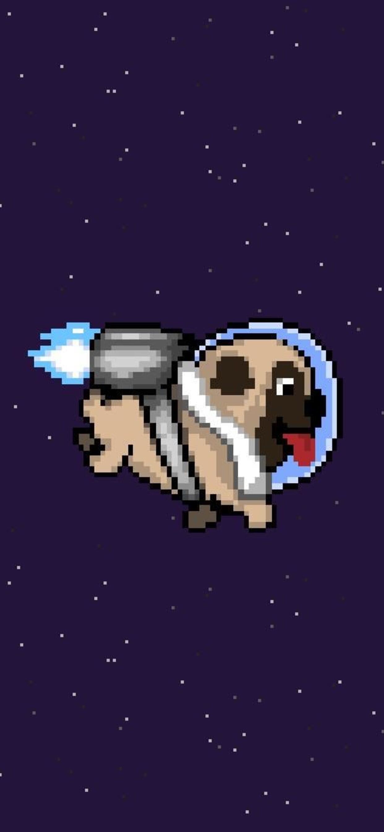 1242x2688  1242x2688 Pug Dog Minimalism Iphone XS MAX HD 4k Wallpapers Images Backgrounds Photos and Pictures