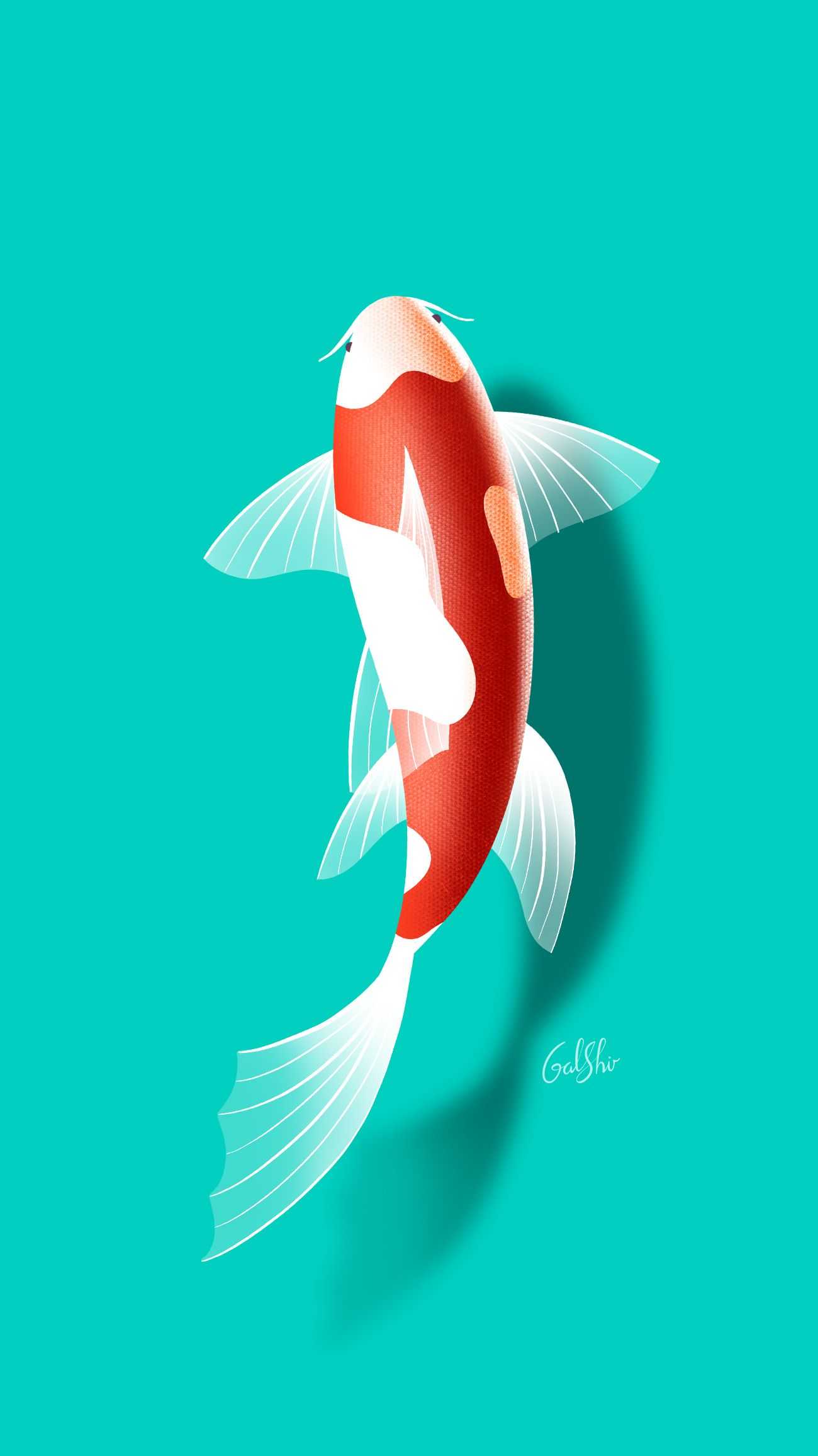 1300x2312 _Koi Fish Wallpaper - Koolpaper - потрясающие бесплатные HD Wallpapers