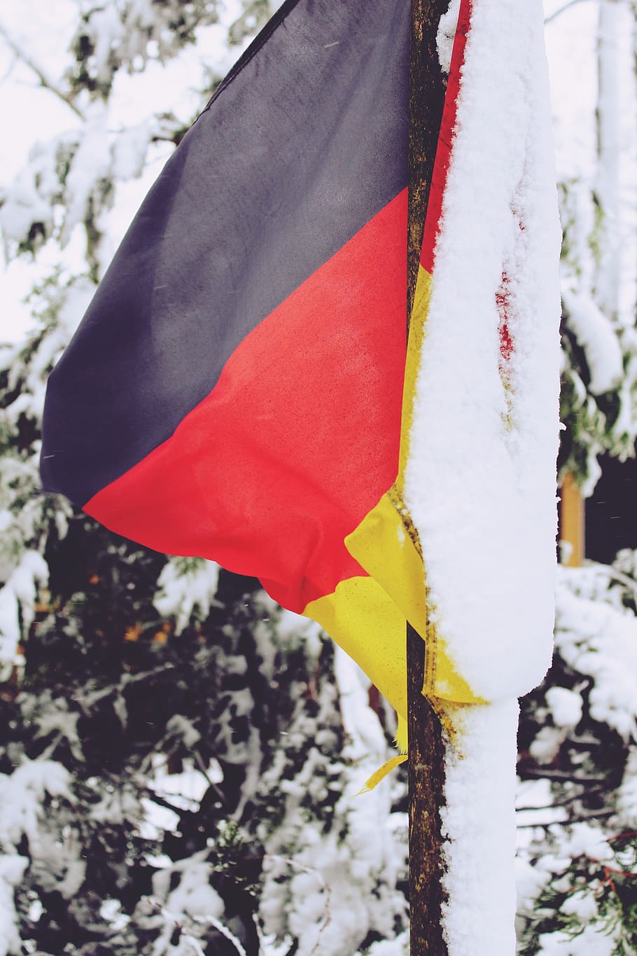 910x1365  German флаг Дойч, флаг, немецкий, размытие, новый, сила, реальный, HD мобильный обои | Peakpx