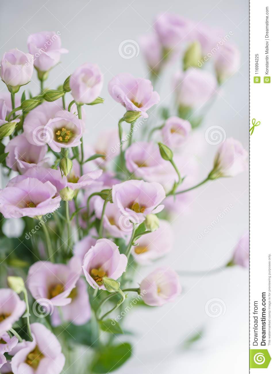 957x1300   Букет сиреневых цветов эустомы в стеклянной вазе. Люблю старинный фон с цветами. Обои для телефона Stock Image - Изображение лепестков красоты: 116994225