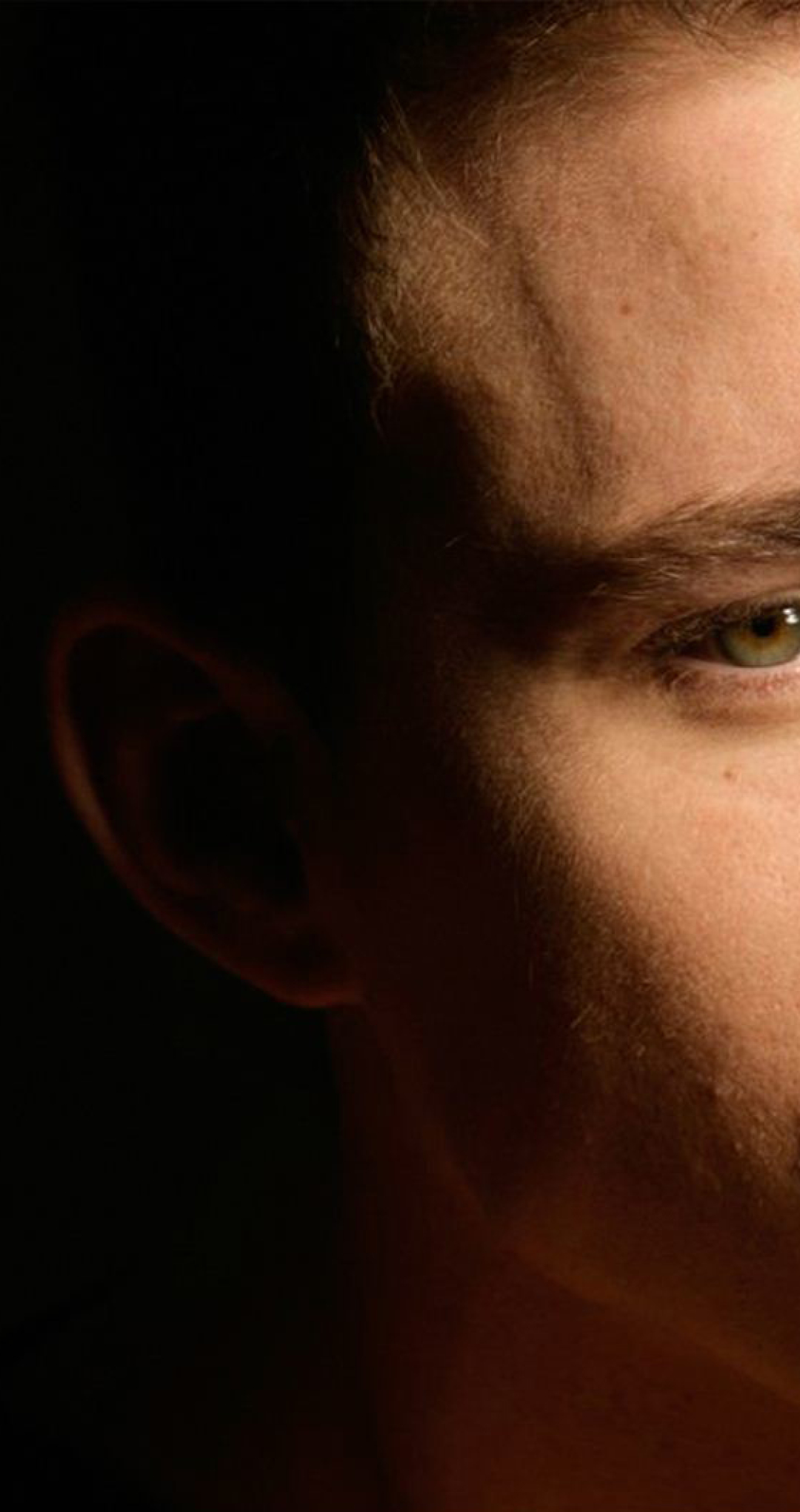 1080x2040  Dear John Amanda Seyfried и Channing Tatum Wallpapers - обои Cave