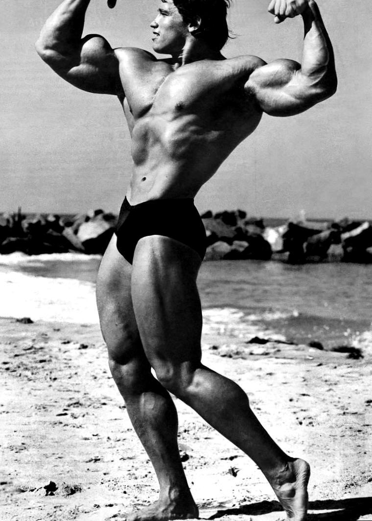 760x1063 Arnold Шварценеггер позирует на сцене - Arnold Schwarzenegger Prime Bodybuilding (# 1099520) - HD Wallpaper U0026 Фон Скачать 