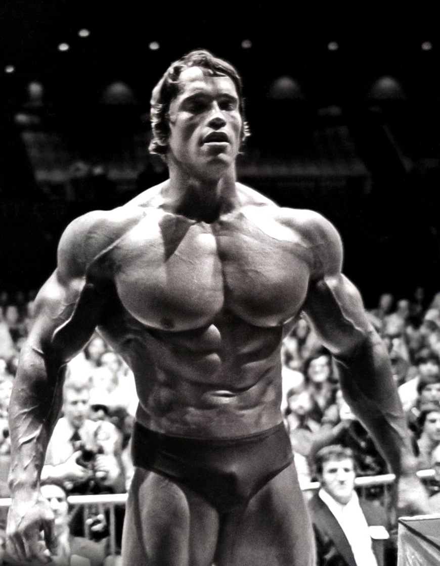 870x1120 HD Arnold Schwarzenegger iPhone Обои - Pixelstalk.net 