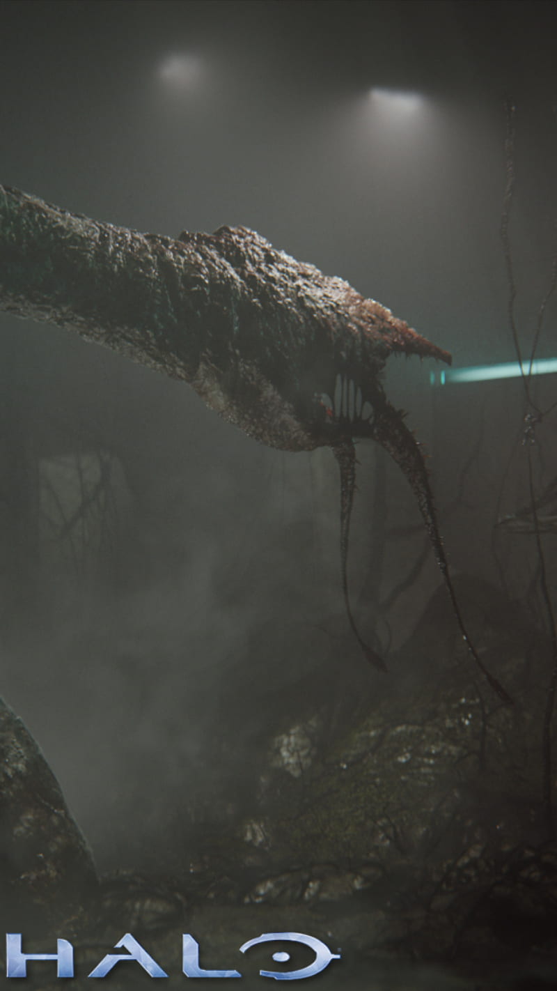 800x1422  Video ABYSS