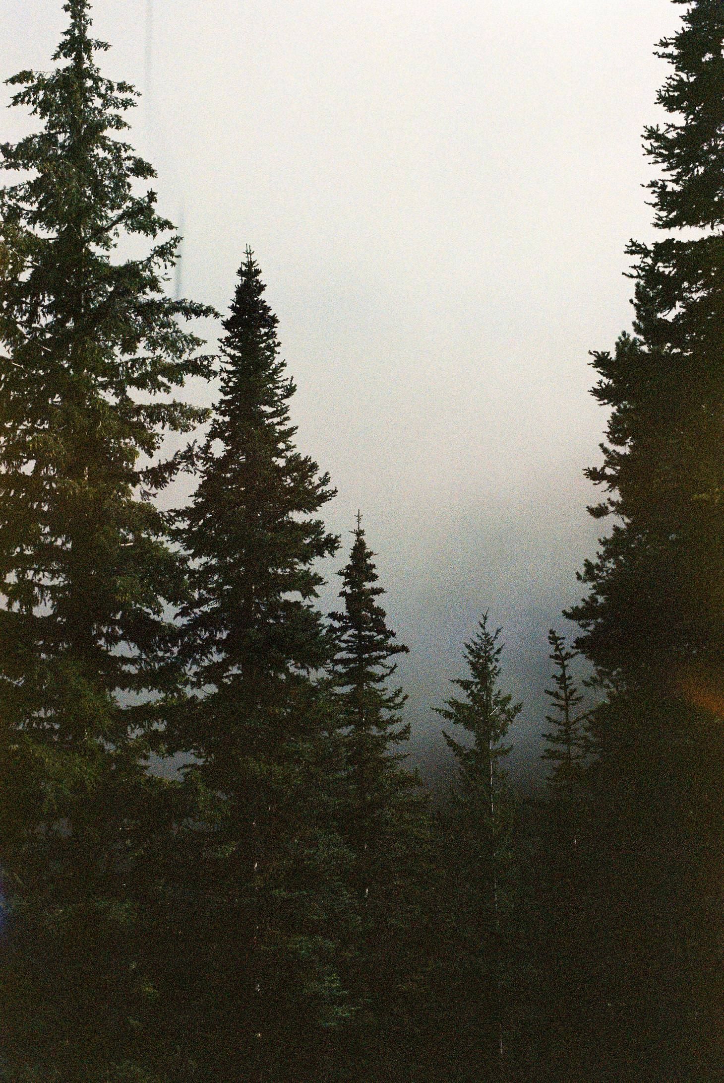 1460x2182  Twin Peaks iPhone обои - обои Cave