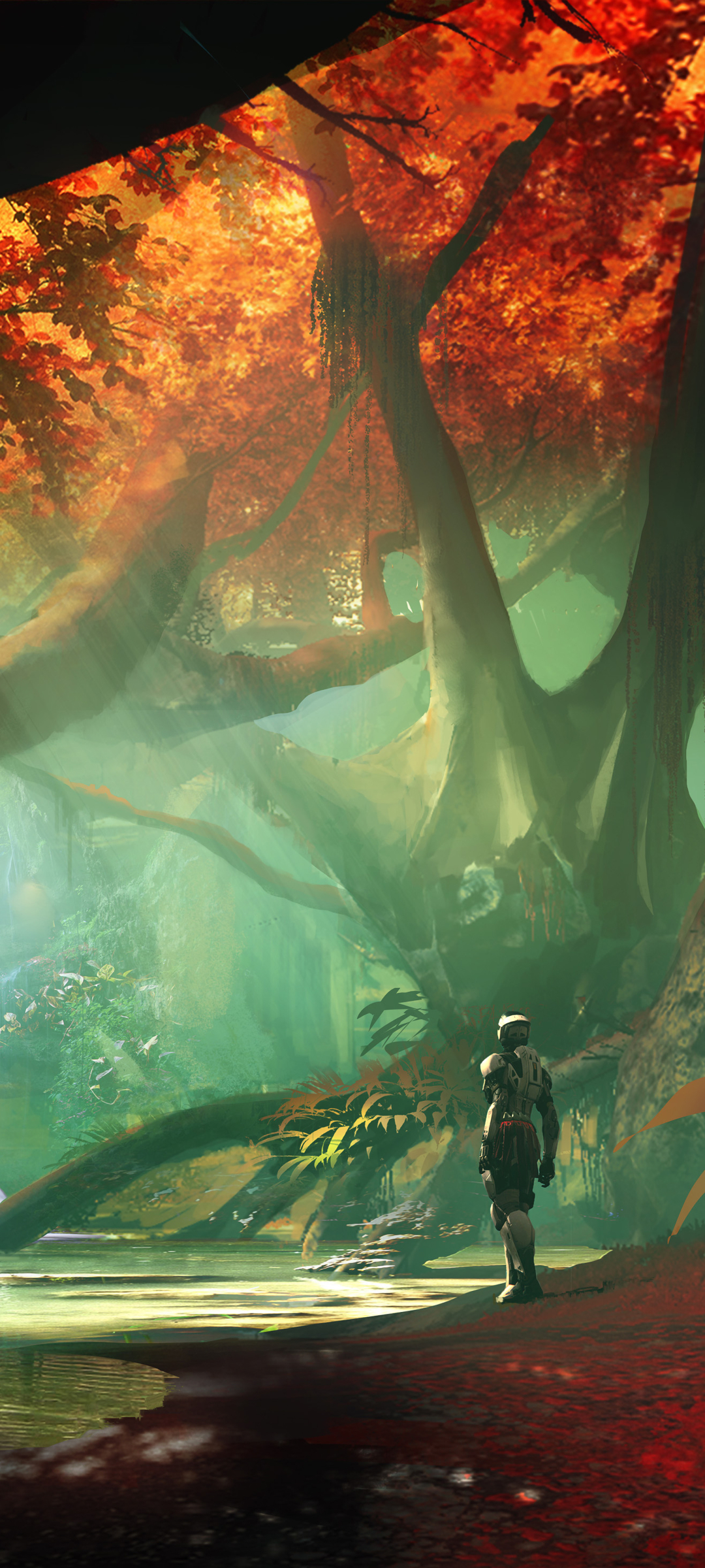 1080x2400  1080x2400 Destiny 2 Forest Разрешение 1080x2400 Обои HD Игры 4K Обои Изображения Фото и фон