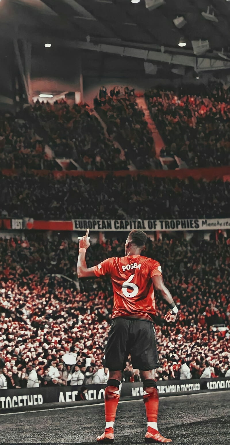 800x1545  PAUL POGBA HD на мобильном обои в Манчестер Юнайтед | Man UTD Core