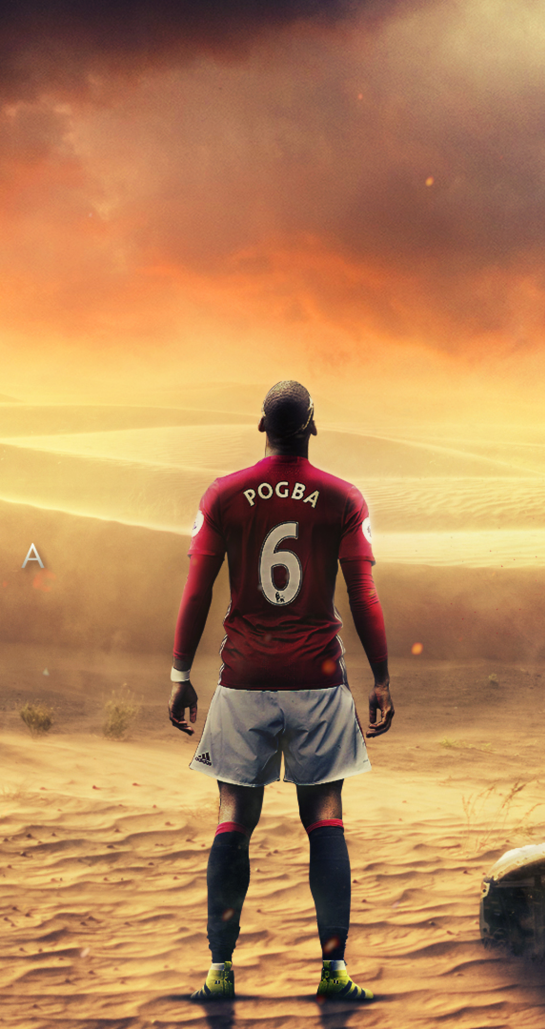 1080x2040  Paul Pogba HD обои 2017 - 675x1200 обои 2017 - 675x1200 обои - Teahub.io 