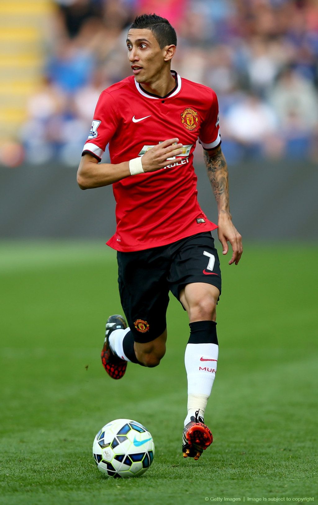 1024x1622  angele di Maria arge «Плакат мискристелланг | STOVALE