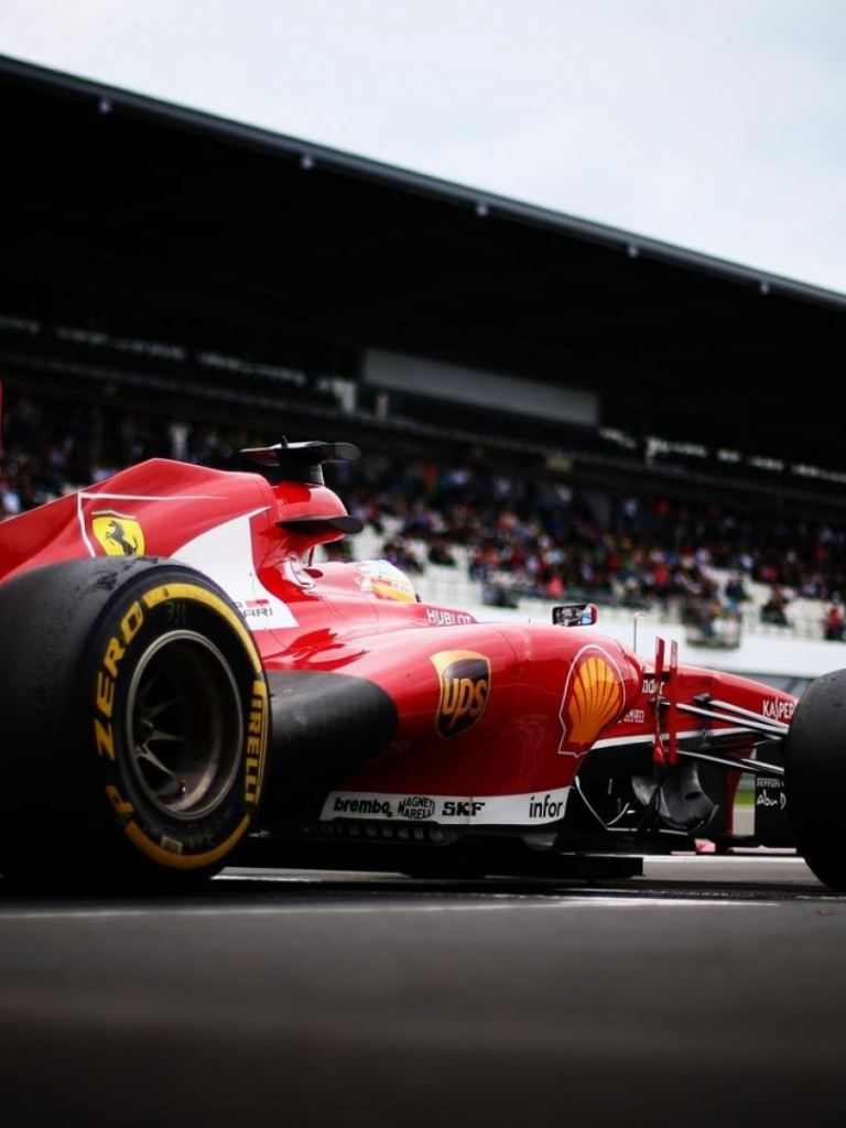 768x1024  Wallpaper Cometle / Phone Fernando Alonso Helmet