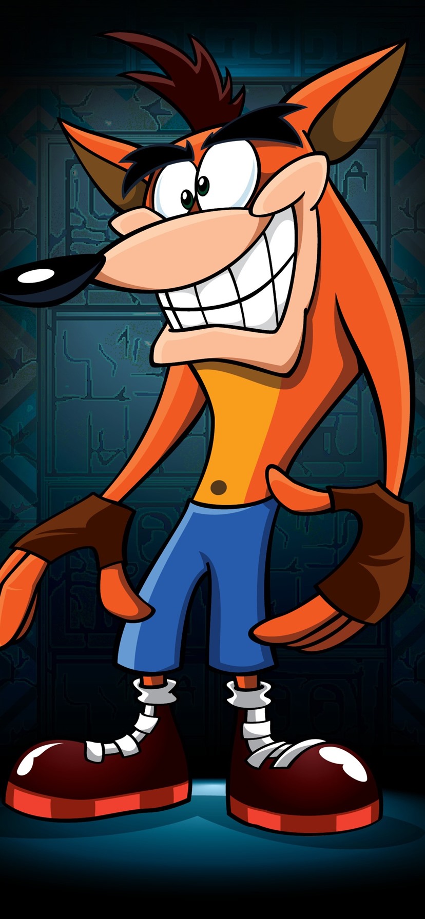 828x1792  Crash Bandicoot 4 Coco Bandicoot HD 4K Обои # 3.2877 