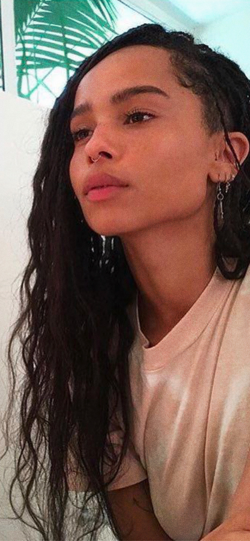 828x1792  1080x2240 Zoë Kravitz Последние фотосессии 1080x2240 Разрешение Обои, HD знаменитостей 4K обои, изображения, фотографии и фона - обои на рабочий стол, изображения, фотографии и фона - обои на рабочий стол - Mobile abyss