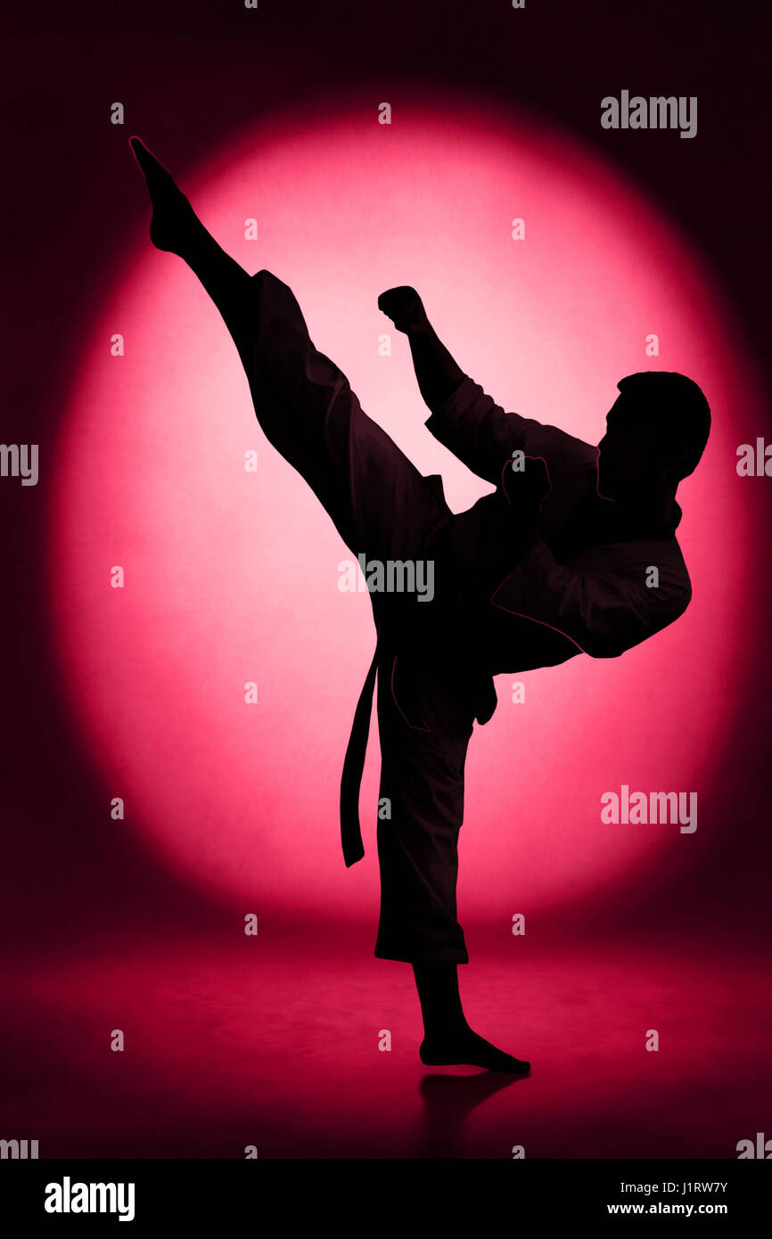866x1390   Silhouette Des Mannes Karate PickFotografie - Alamy