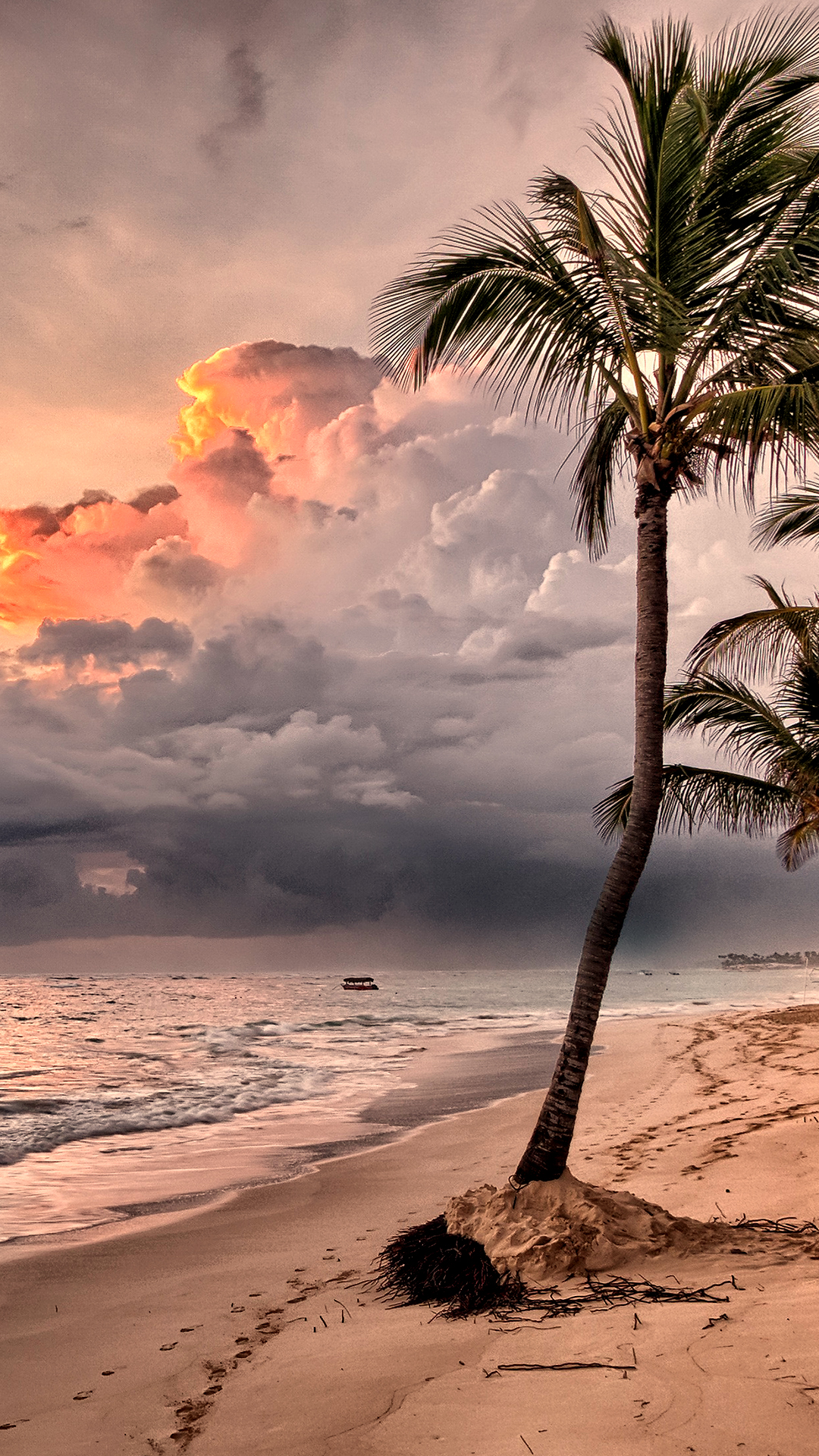 1080x1920  best Тропические картинки на телефон для Android - APK Скачать 