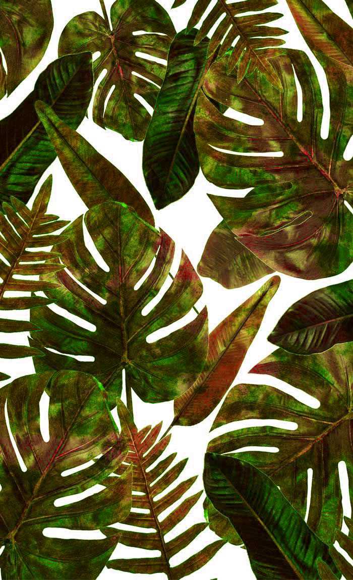 700x1149   Торопические Обои - idlewp