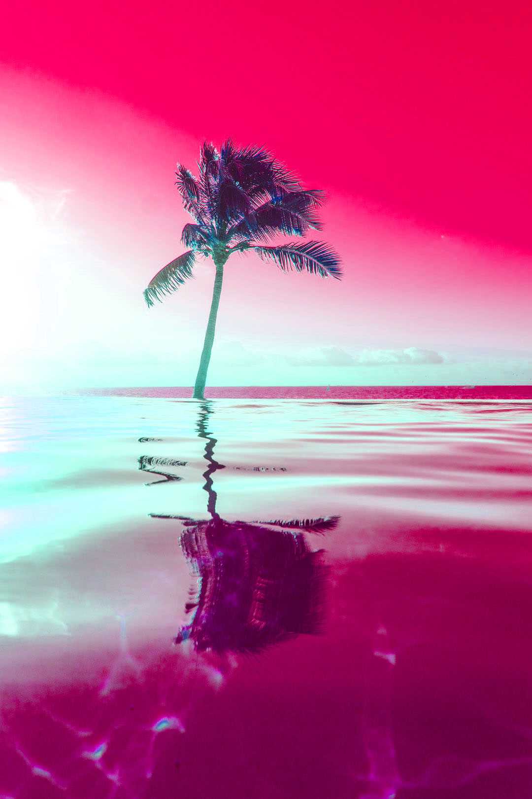 1080x1620  tropical wallpaper - idlewp