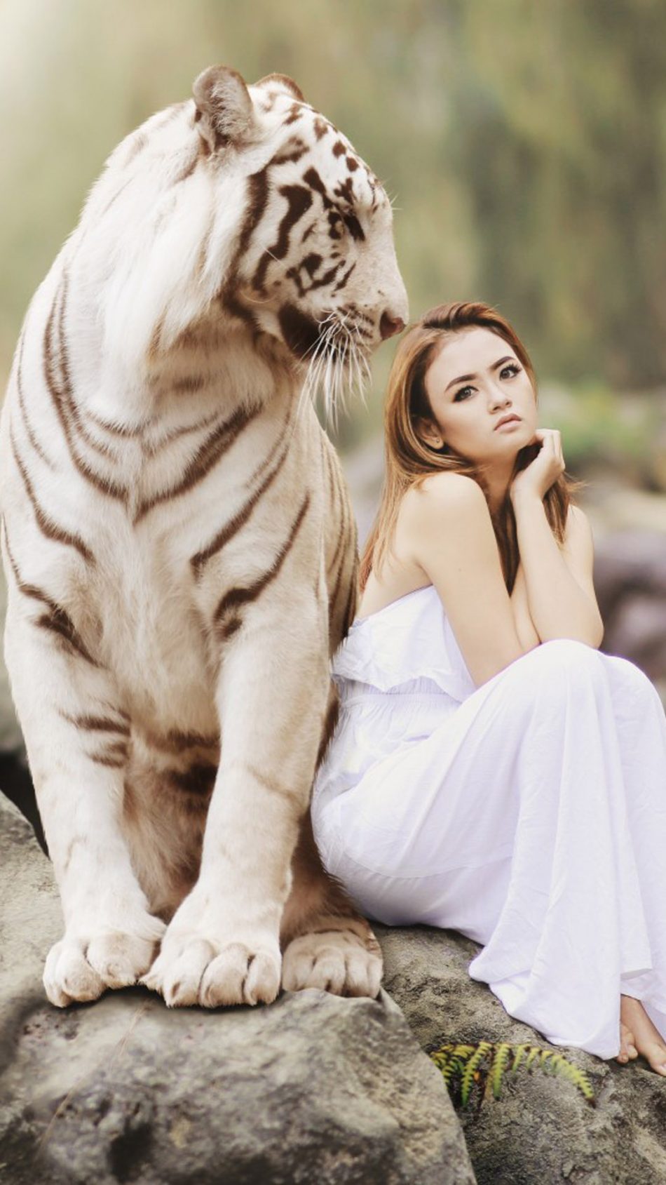 950x1689  WHITE TIGER PHONE Обои - Верхнее Белый Телефон Tiger - WallpaperAccess